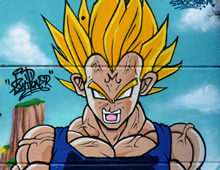 Graffiti dragon ball z WXP 5 ans